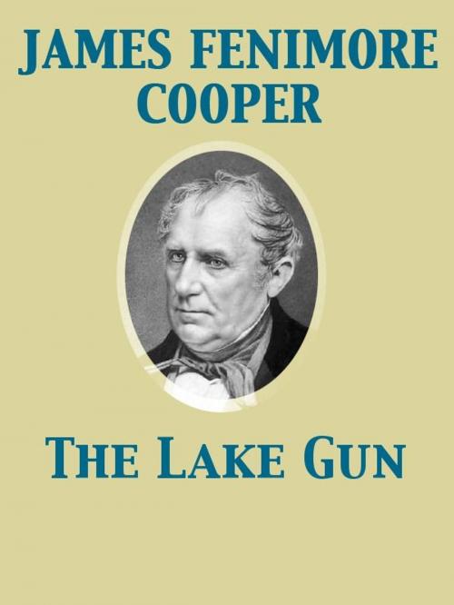 Cover of the book The Lake Gun by James Fenimore Cooper, Release Date: November 27, 2011