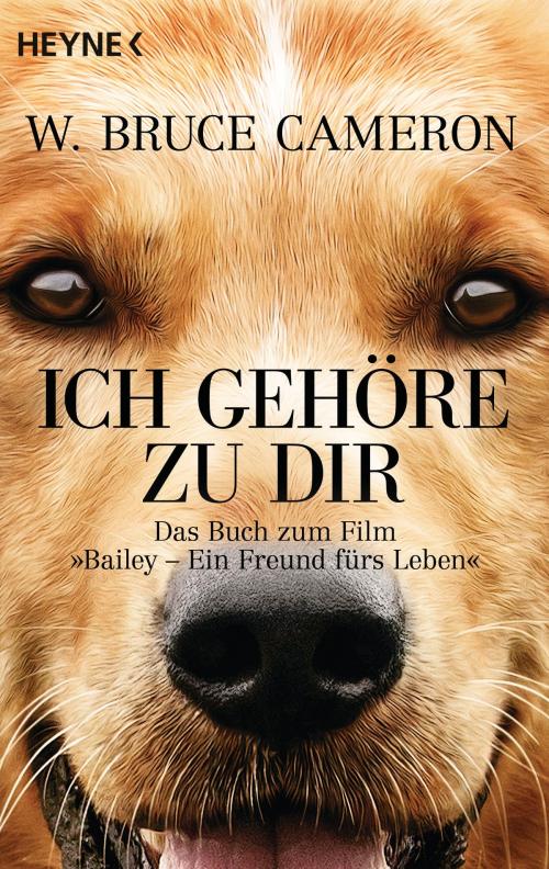 Cover of the book Ich gehöre zu dir by W. Bruce Cameron, Heyne Verlag