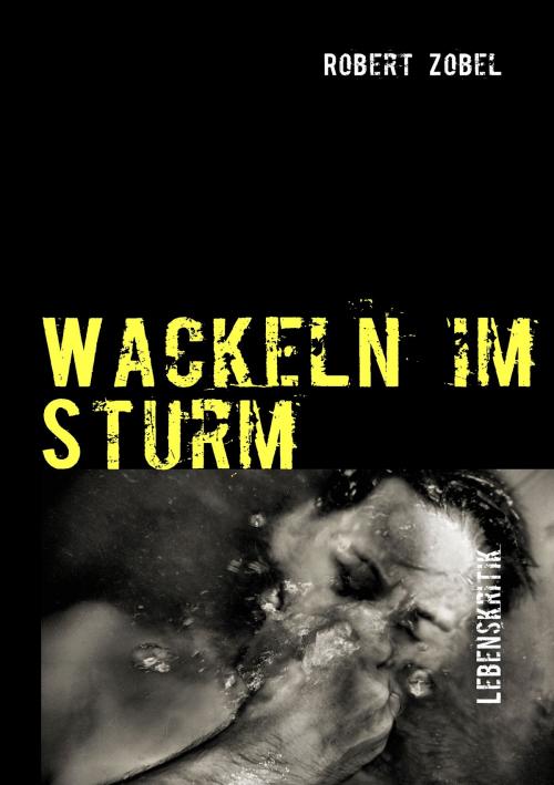 Cover of the book Wackeln im Sturm by Robert Zobel, Books on Demand