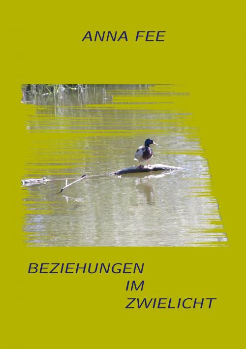 Cover of the book Beziehungen im Zwielicht by Anna Fee, Books on Demand