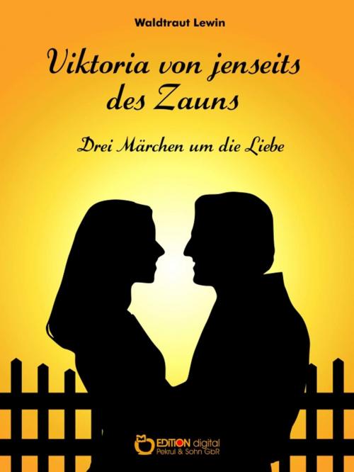 Cover of the book Viktoria von jenseits des Zauns by Waldtraut Lewin, EDITION digital