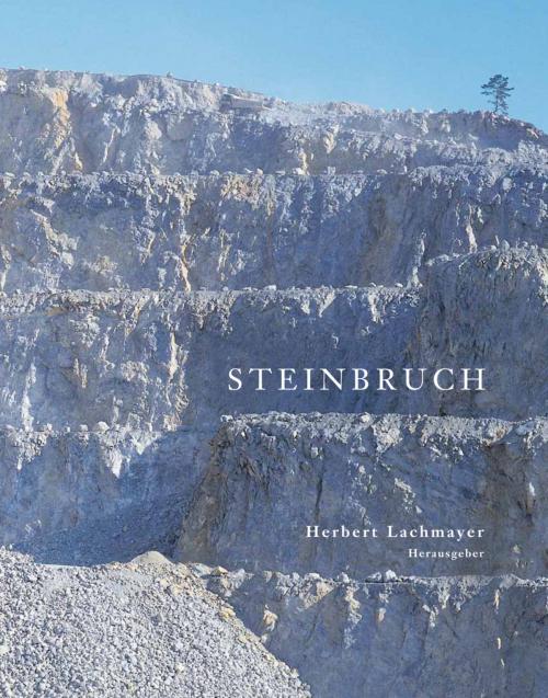 Cover of the book Steinbruch by Herbert Lachmayer, Hollitzer Wissenschaftsverlag