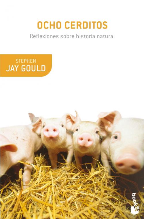 Cover of the book Ocho cerditos by Stephen Jay Gould, Grupo Planeta