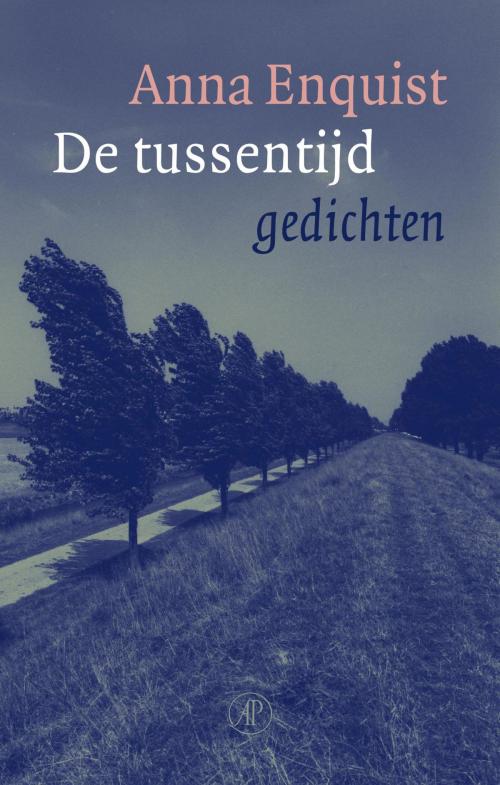 Cover of the book De tussentijd by Anna Enquist, Singel Uitgeverijen