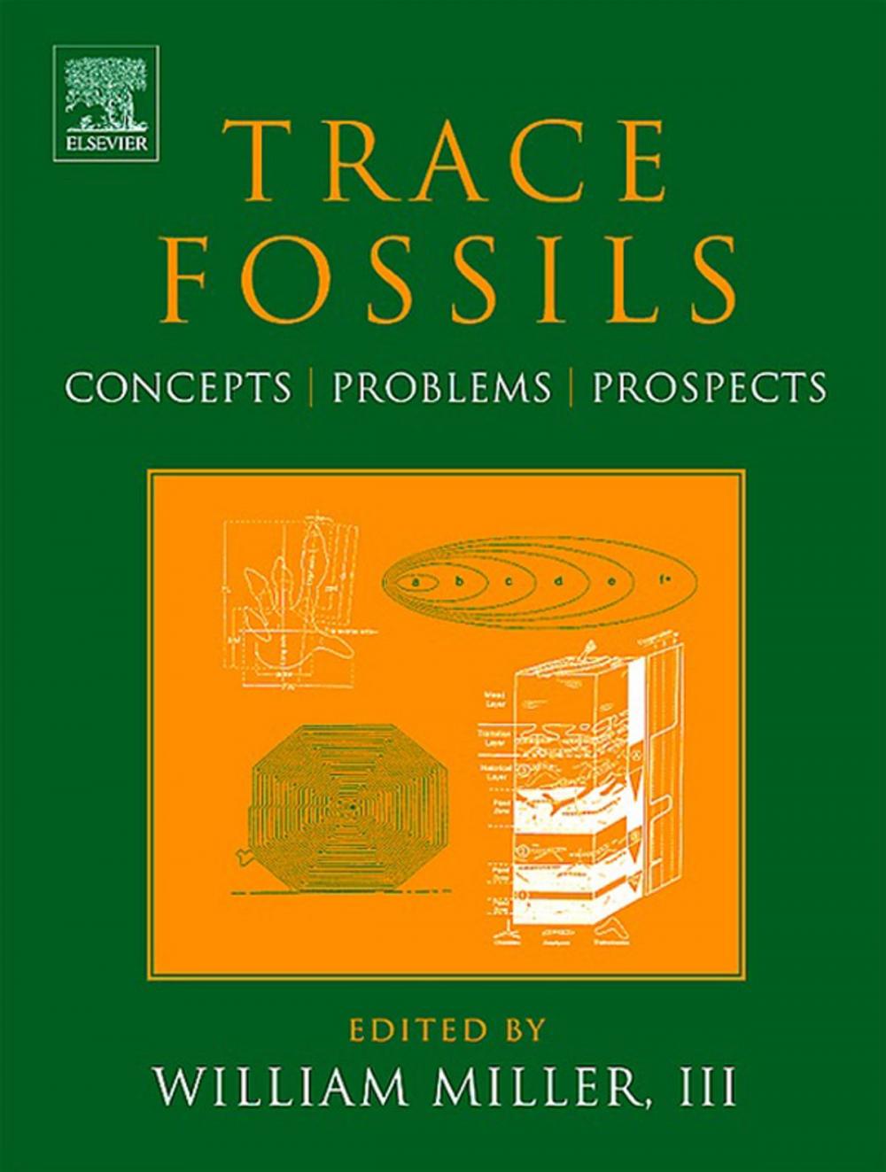 Big bigCover of Trace Fossils