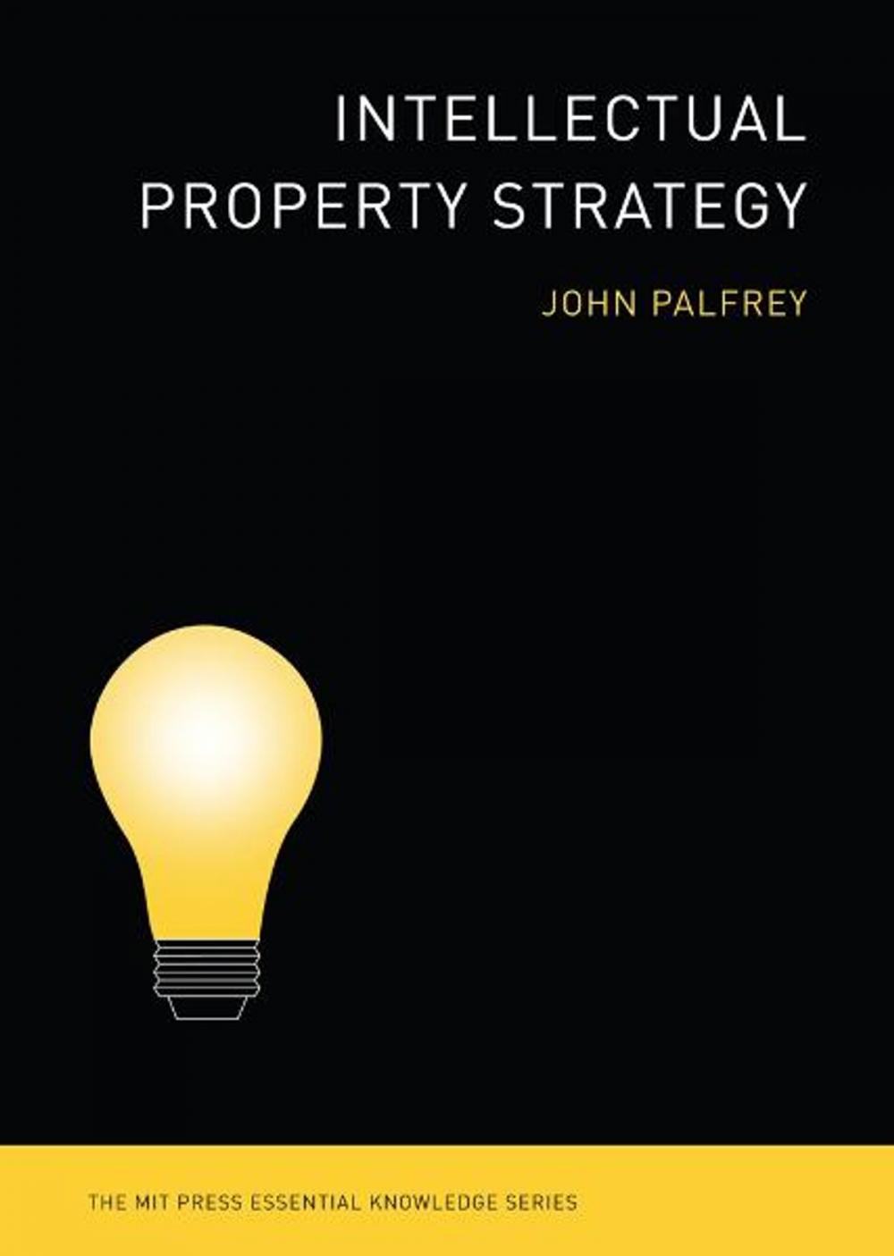 Big bigCover of Intellectual Property Strategy