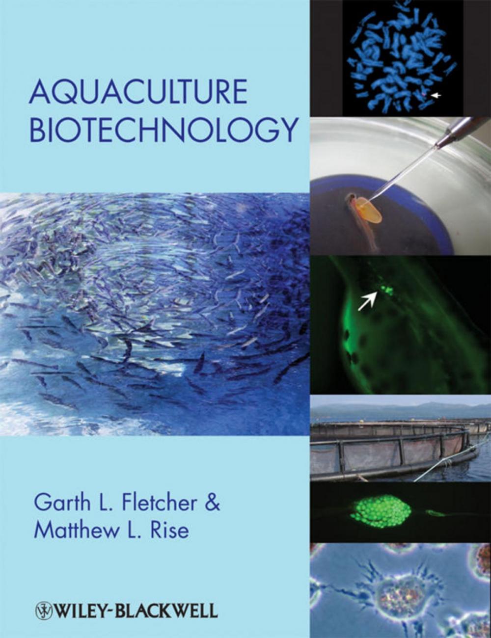 Big bigCover of Aquaculture Biotechnology