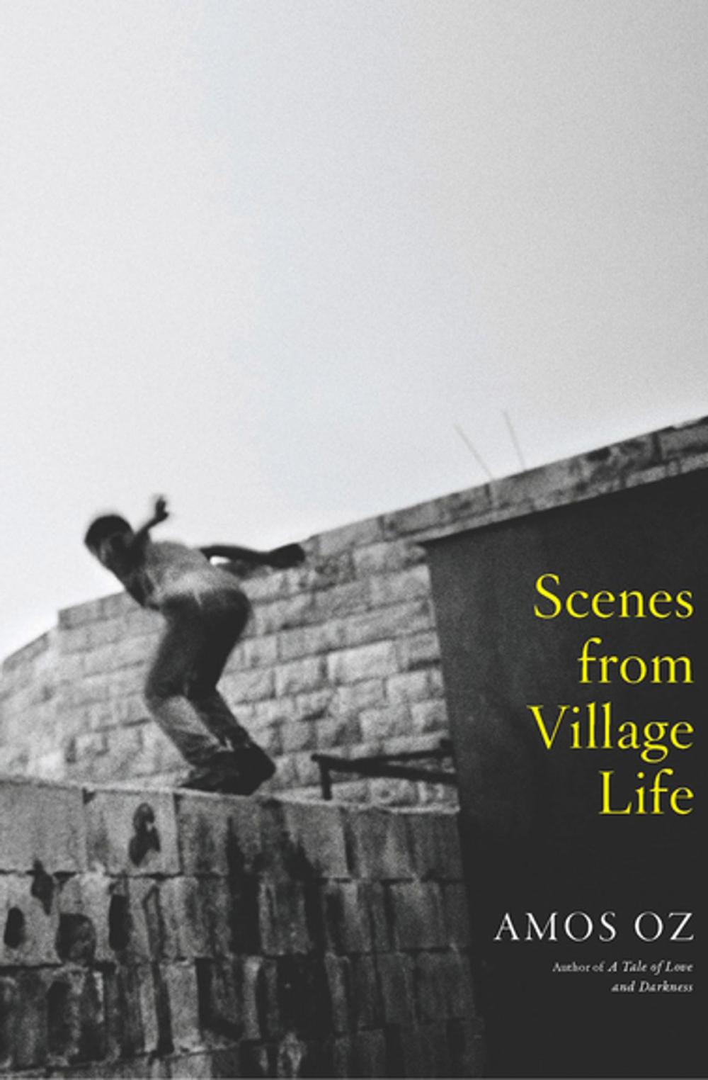 Big bigCover of Scenes from Village Life