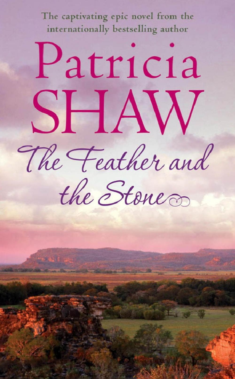 Big bigCover of The Feather and the Stone