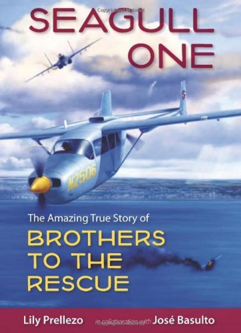 Big bigCover of Seagull One: The Amazing True Story of Brothers to the Rescue