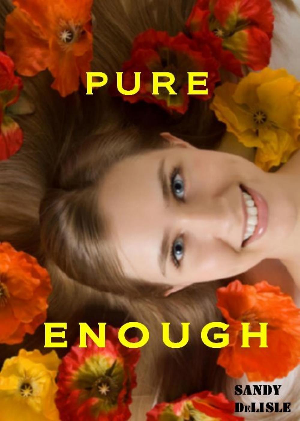 Big bigCover of Pure Enough
