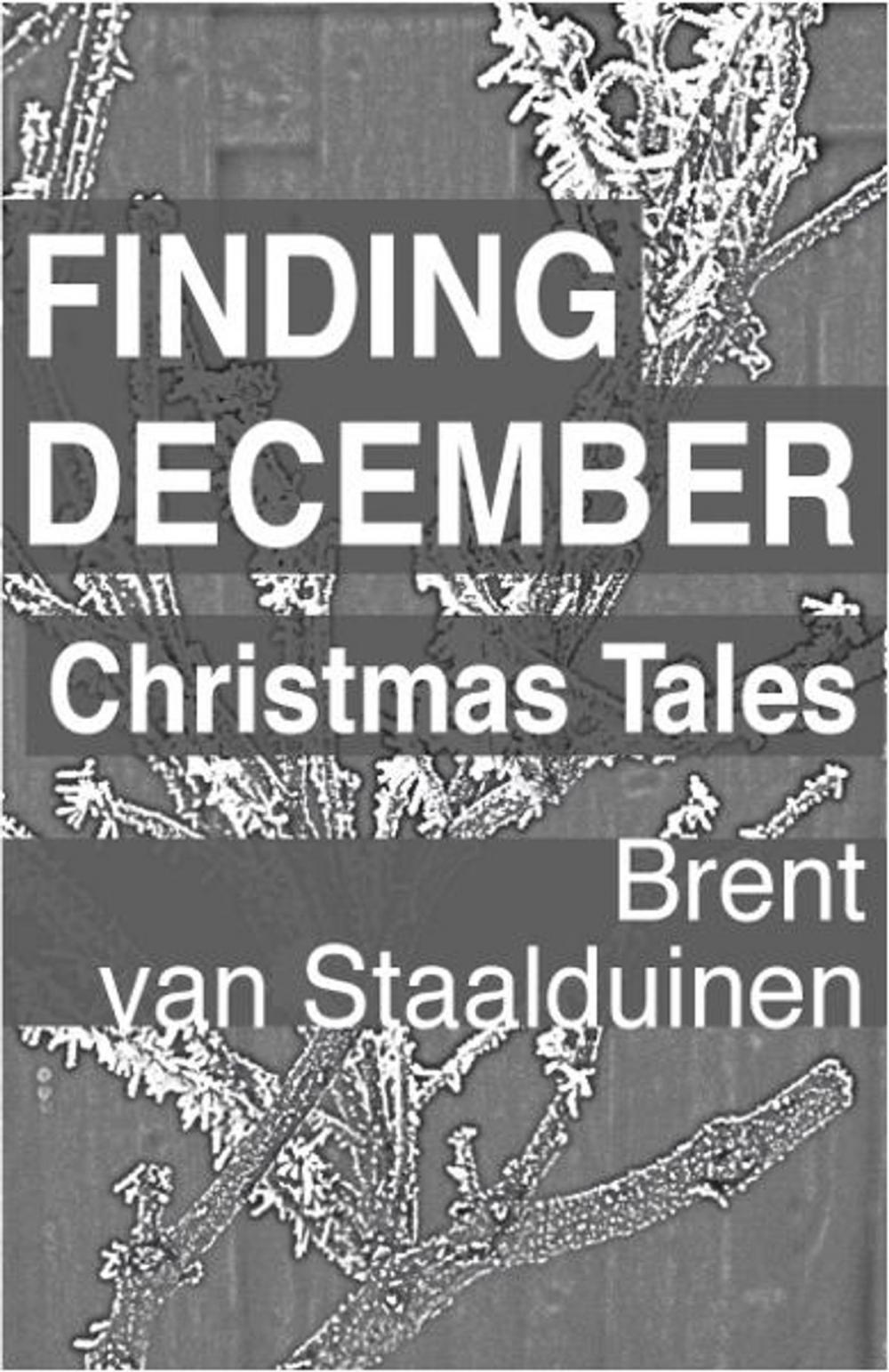 Big bigCover of Finding December: Christmas Tales