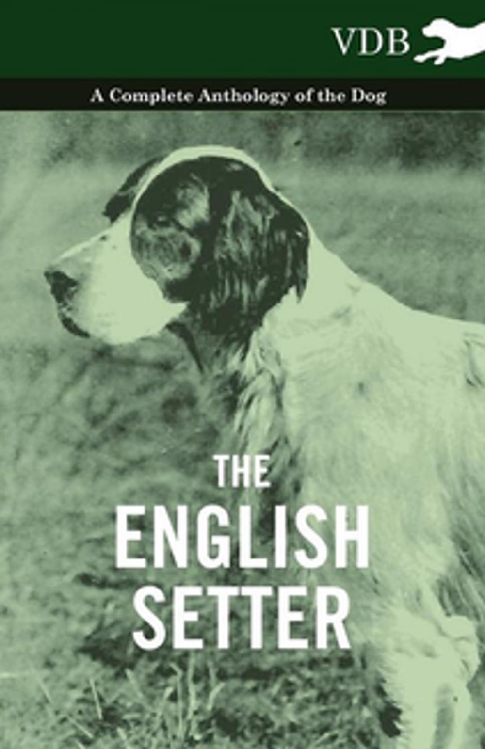 Big bigCover of The English Setter - A Complete Anthology of the Dog