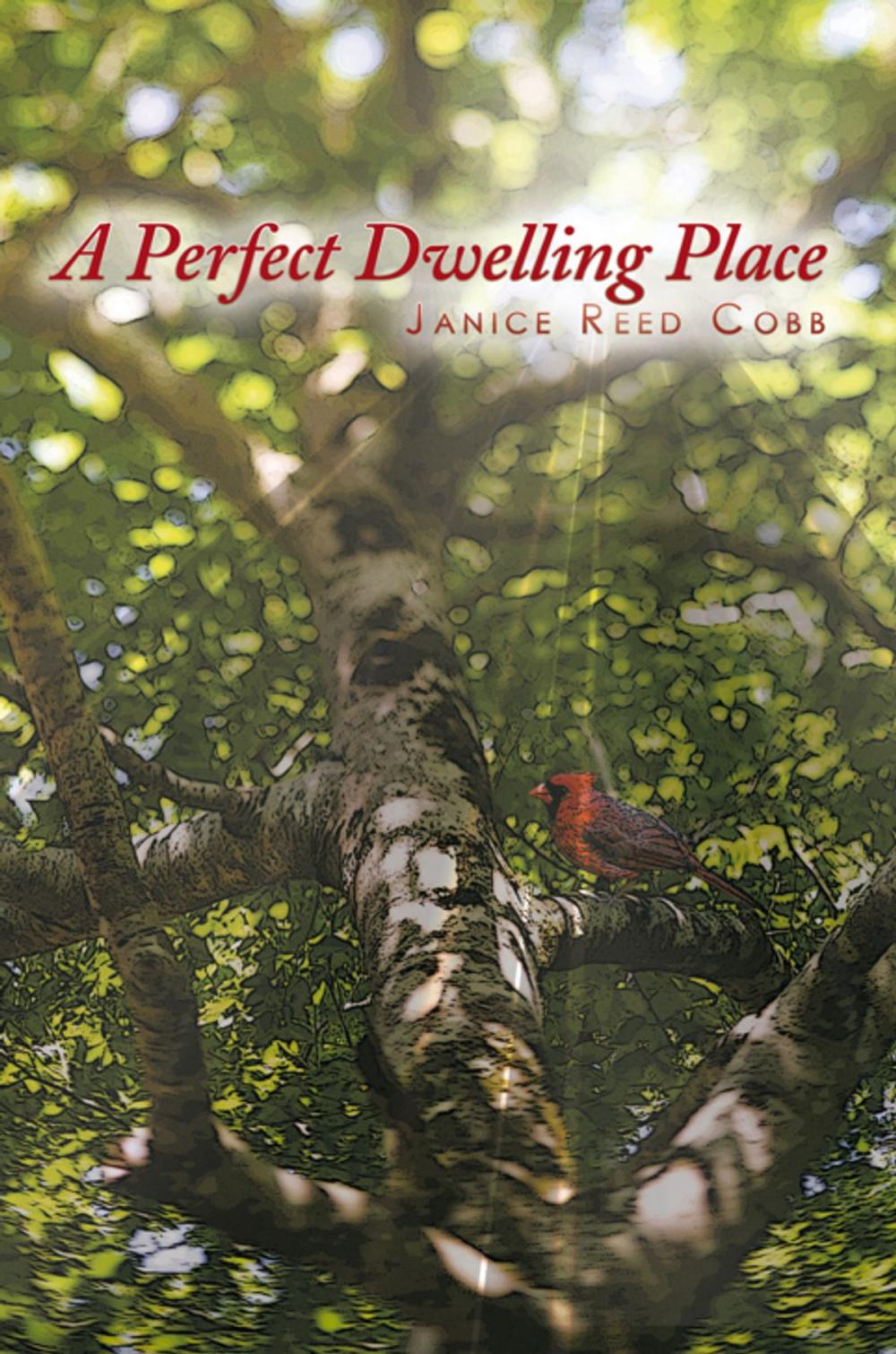 Big bigCover of A Perfect Dwelling Place