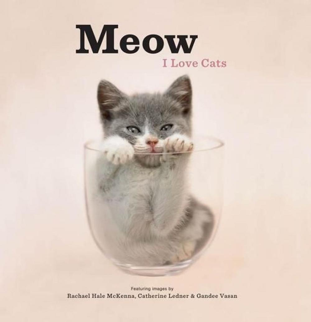 Big bigCover of Meow: I Love Cats