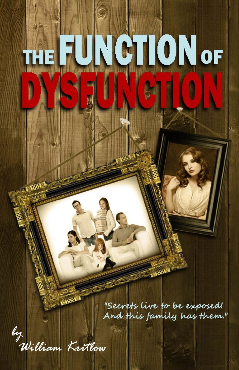 Big bigCover of The Function of Dysfunction