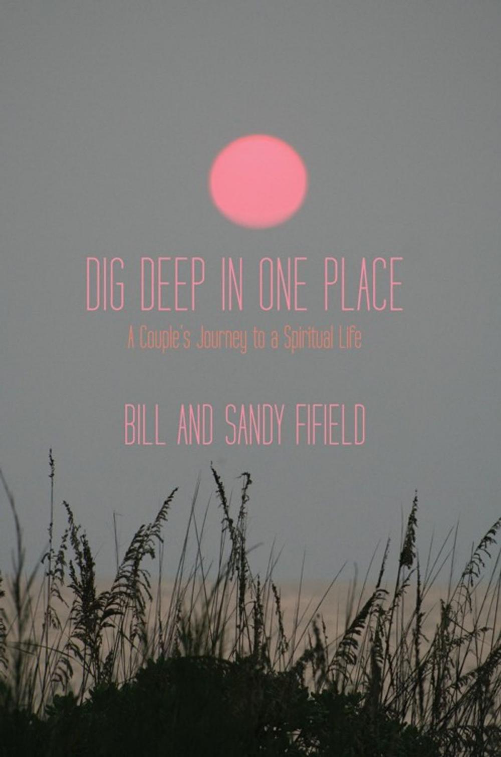 Big bigCover of Dig Deep in One Place