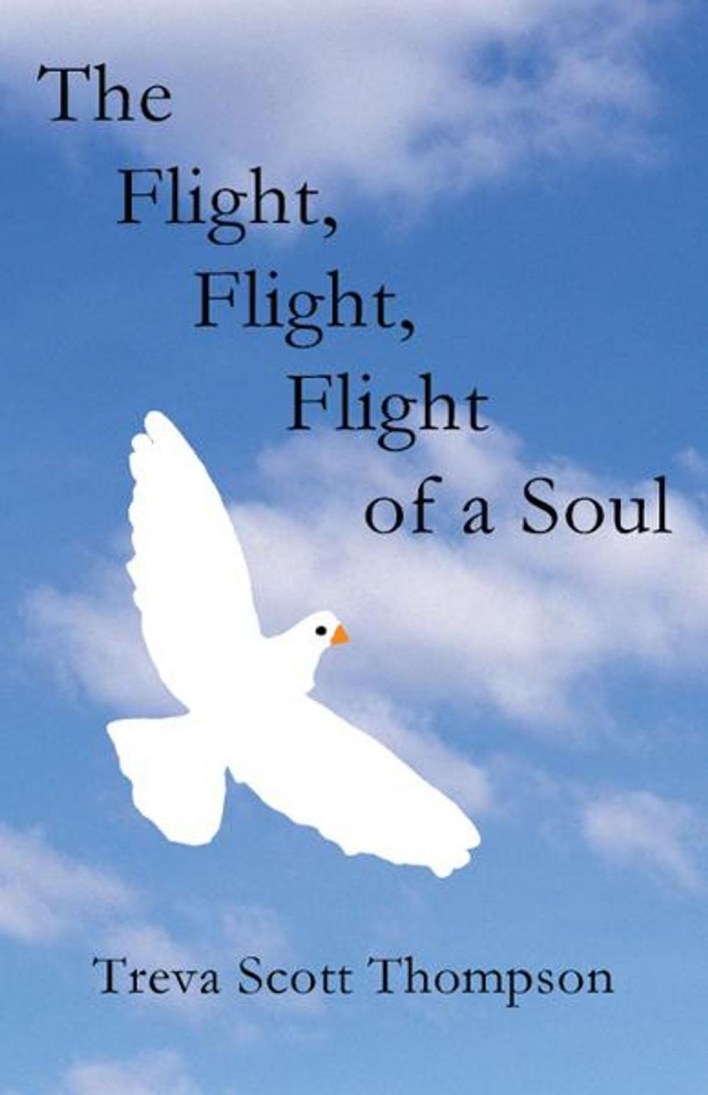 Big bigCover of The Flight, Flight, Flight of a Soul