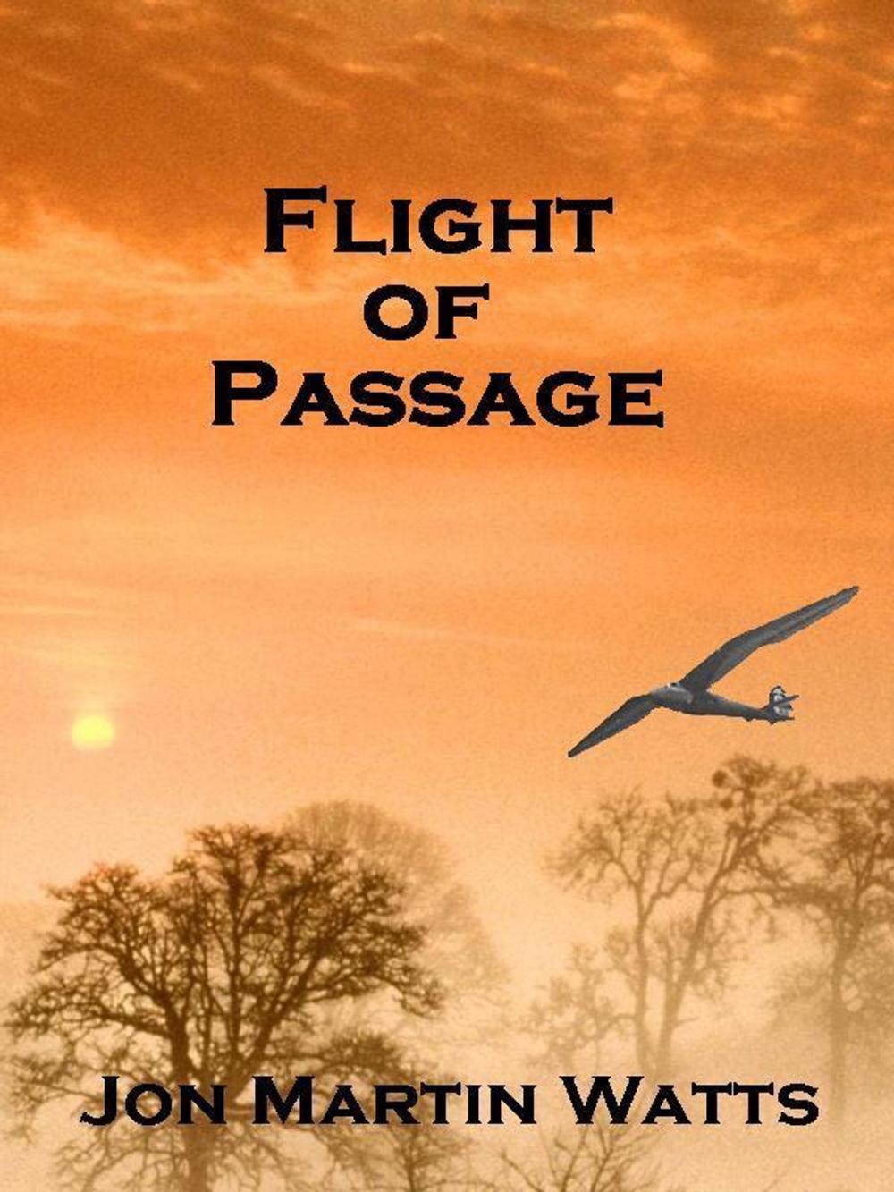 Big bigCover of Flight of Passage