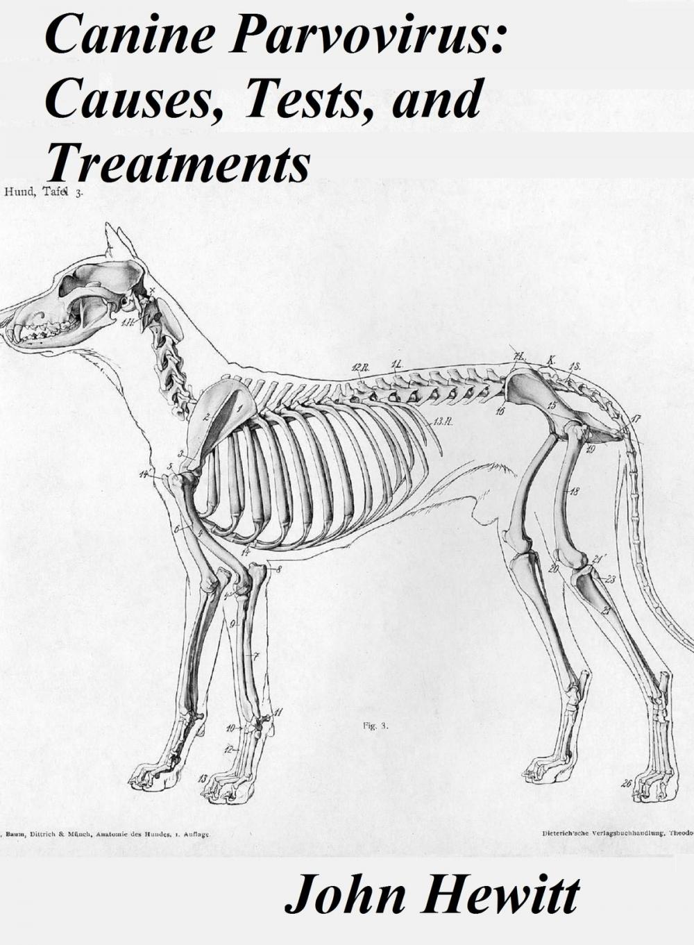 Big bigCover of Canine Parvovirus: Causes, Tests and Treatments