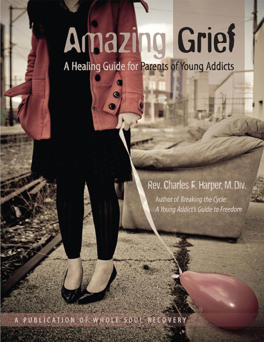 Big bigCover of Amazing Grief A Healing Guide for Parents of Young Addicts.
