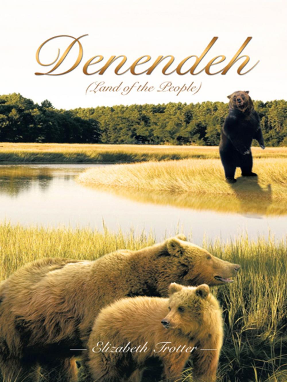Big bigCover of Denendeh (Land of the People)