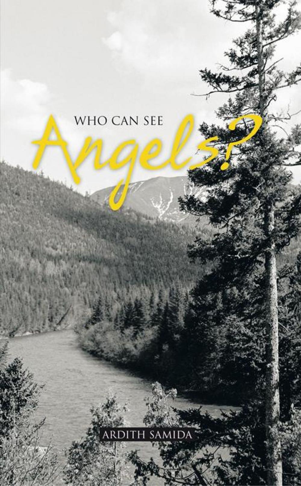 Big bigCover of Who Can See Angels?