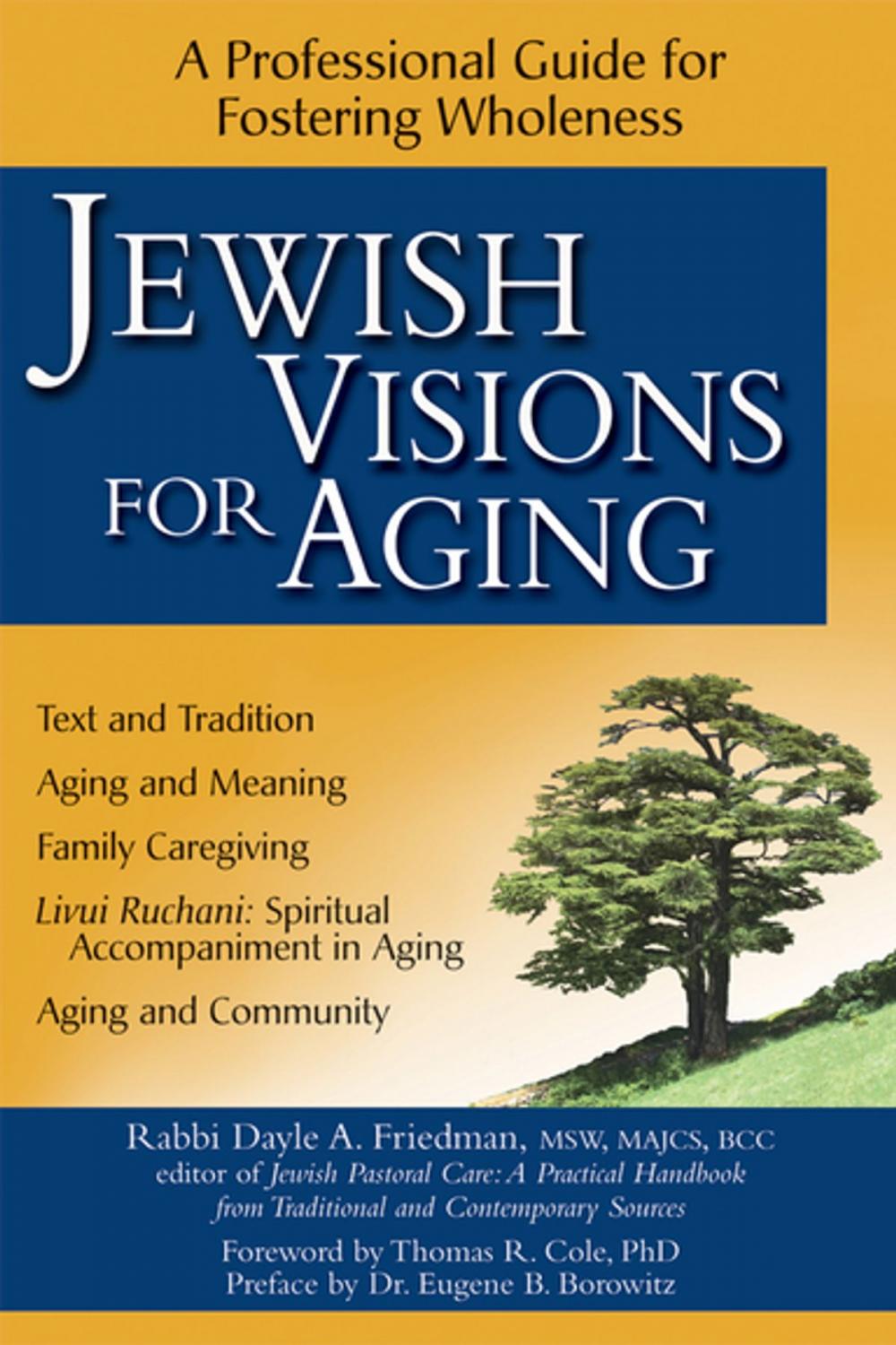 Big bigCover of Jewish Visions for Aging