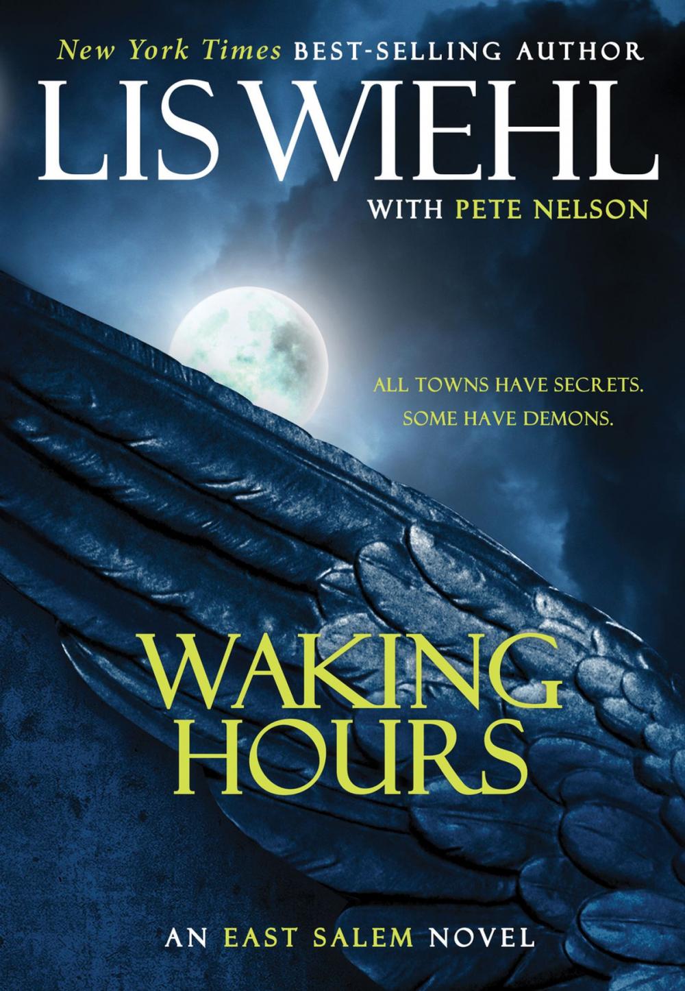 Big bigCover of Waking Hours