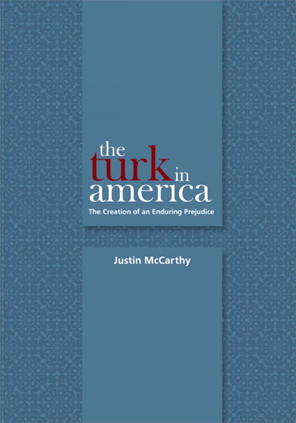 Big bigCover of The Turk in America