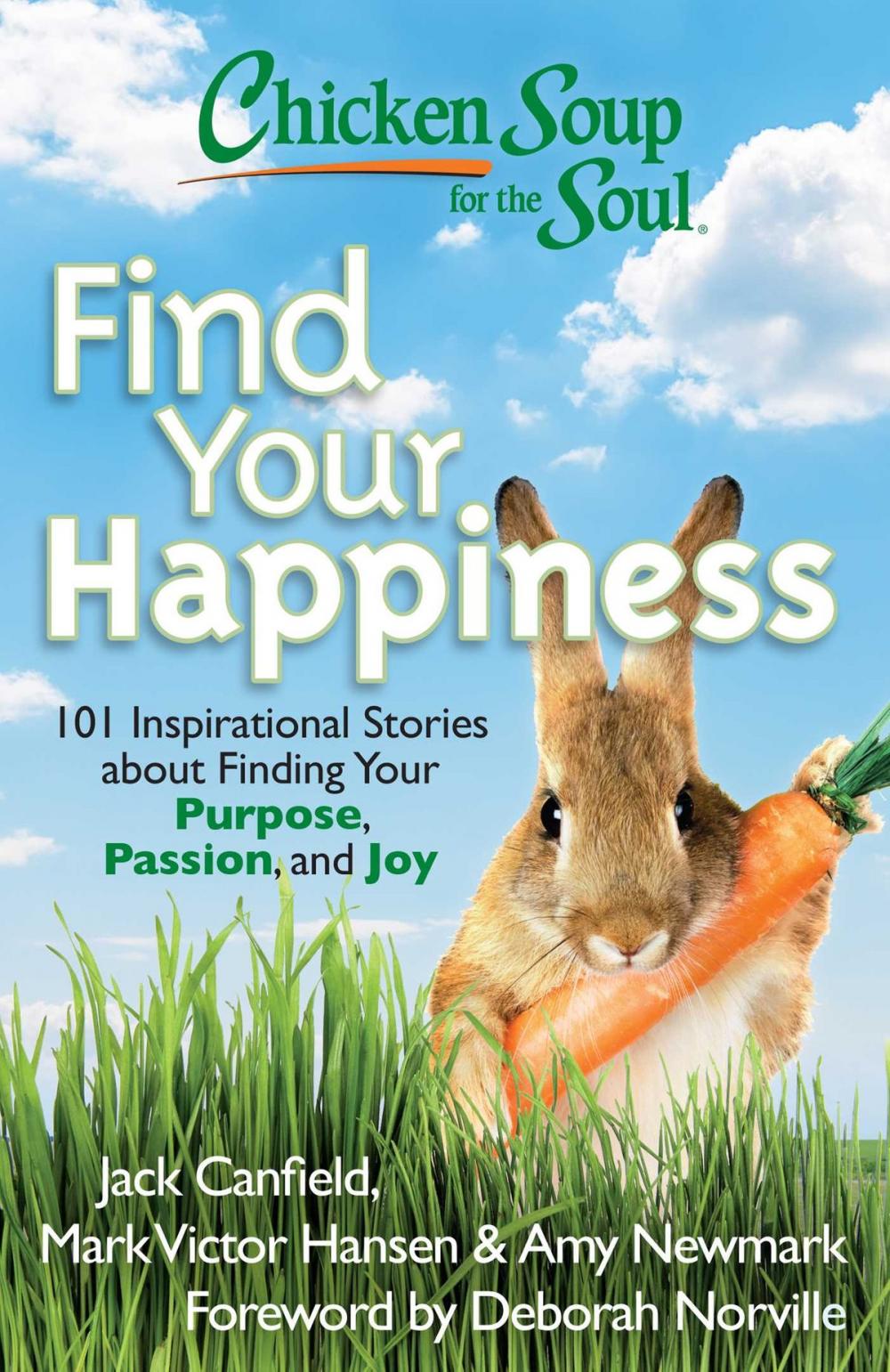 Big bigCover of Chicken Soup for the Soul: Find Your Happiness