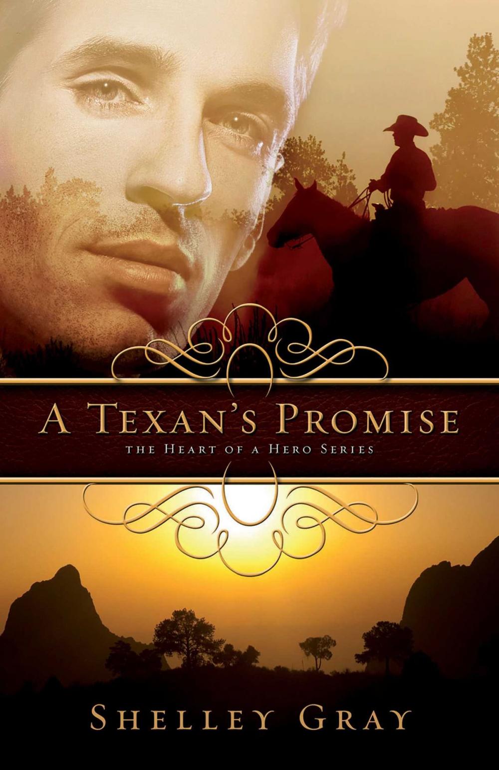 Big bigCover of A Texan's Promise