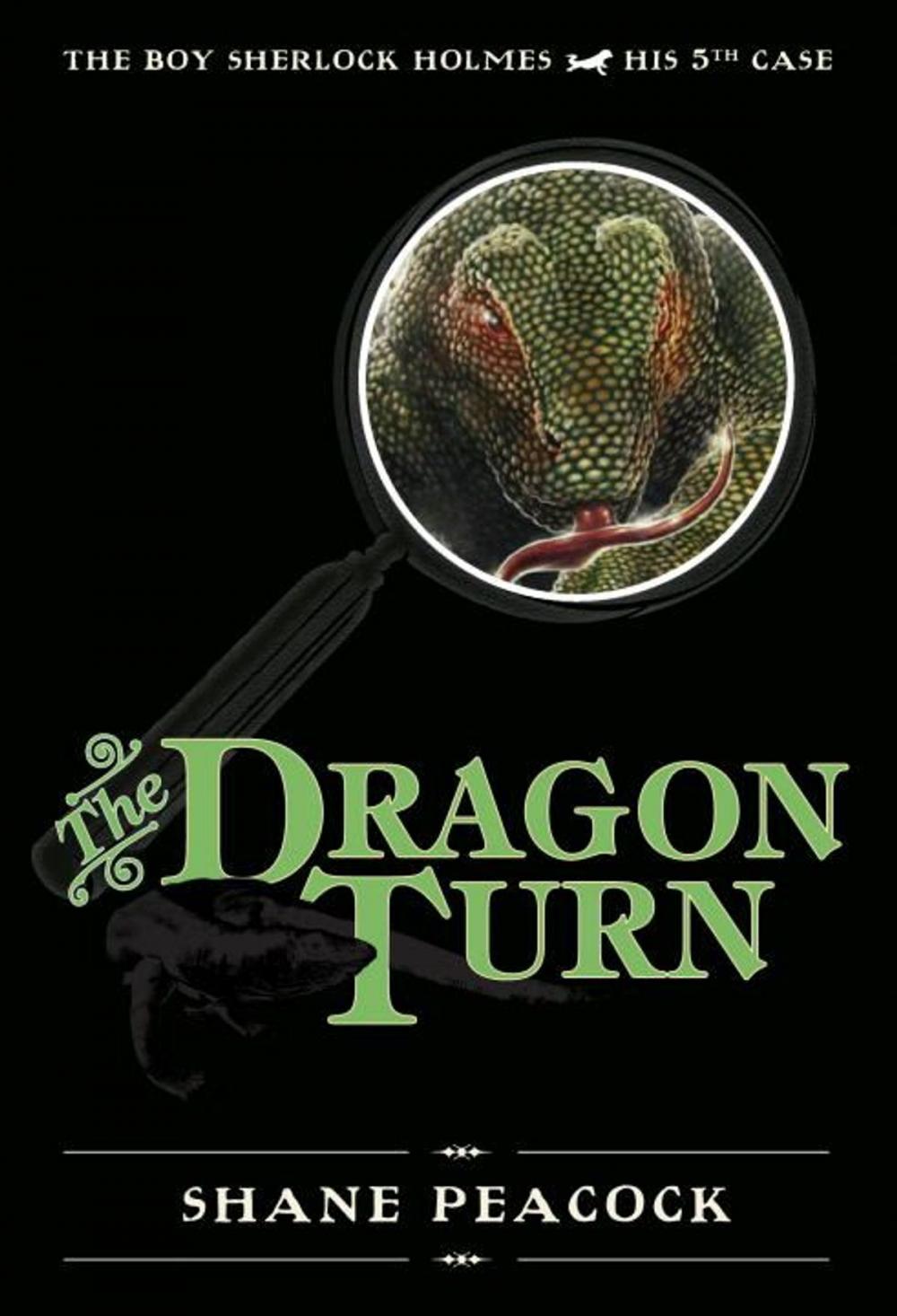 Big bigCover of The Dragon Turn