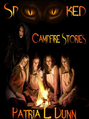 Book cover of SpOOked: Campfire Stories (Part 2-The After Dark Collection)
