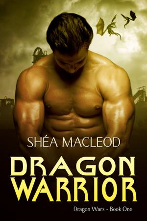 Cover of the book Dragon Warrior by Shéa MacLeod