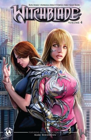 Book cover of Witchblade #4
