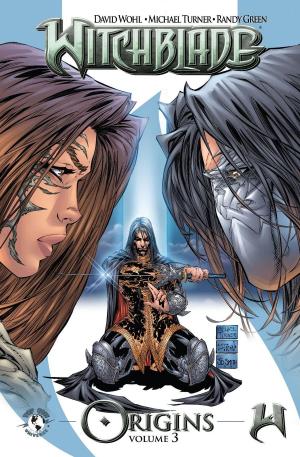 Cover of the book Witchblade Origins Volume 3 by Jonathan Lincoln