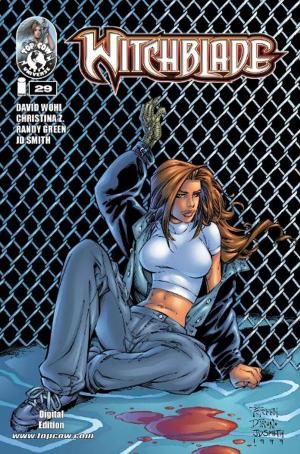 Book cover of Witchblade #29