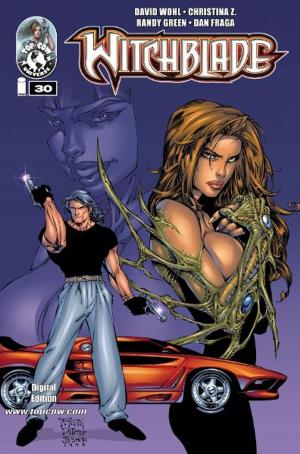 Book cover of Witchblade #30