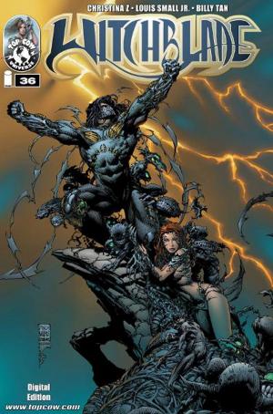 Book cover of Witchblade #36