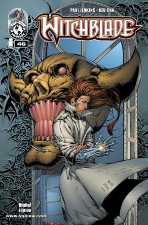 Book cover of Witchblade #46