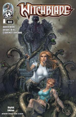 Book cover of Witchblade #60