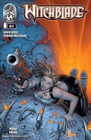 Book cover of Witchblade #61