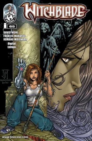 Book cover of Witchblade #65
