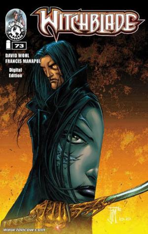 Book cover of Witchblade #73