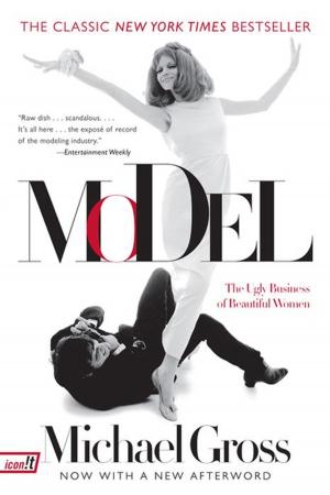 Cover of the book Model by Blake J. Harris