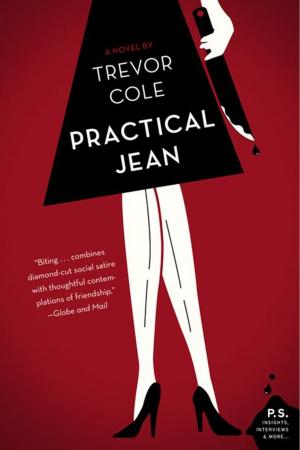 Cover of the book Practical Jean by Darcey Steinke