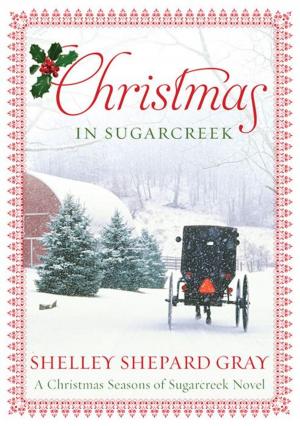 bigCover of the book Christmas in Sugarcreek by 