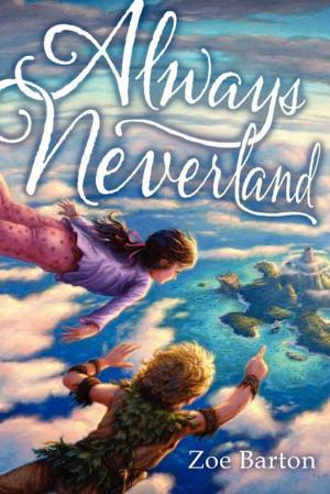 Cover of the book Always Neverland by Mary Kubica