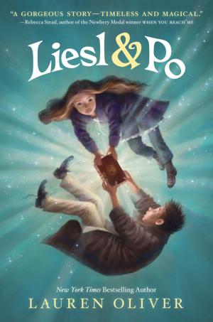 Book cover of Liesl & Po